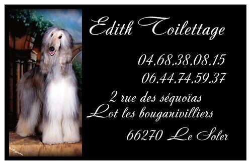 Edith Toilettage